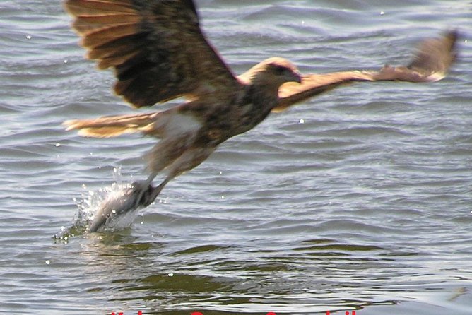 Kalgan Queen Scenic Cruises a four hour sheltered water wildlife tour daily fun. - Setting off from Emu Point at 9:00 am