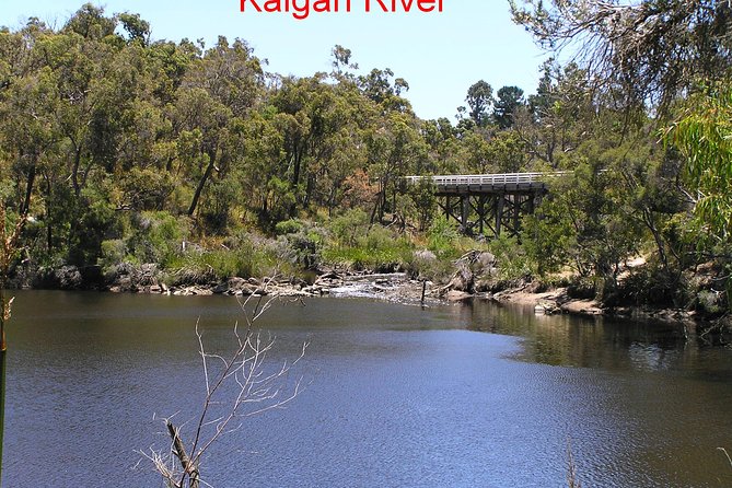 Kalgan Queen Scenic Cruises a four hour sheltered water wildlife tour daily fun. - Up the Kalgan River, where stories take over