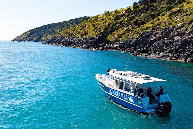 Kangaroo Island: 75-Minute Coastal Safari - Boarding at Christmas Cove Marina in Penneshaw