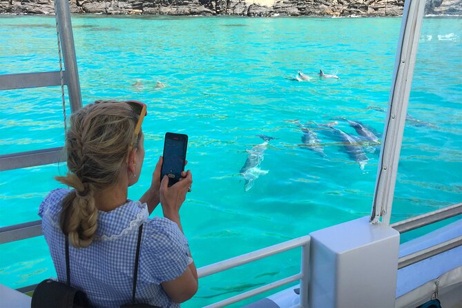 Kangaroo Island: 75-Minute Coastal Safari - Dolphins are the star when the timing works