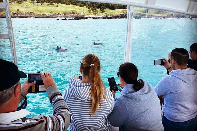 Kangaroo Island: 75-Minute Coastal Safari - Skipper commentary turns a boat ride into a lesson