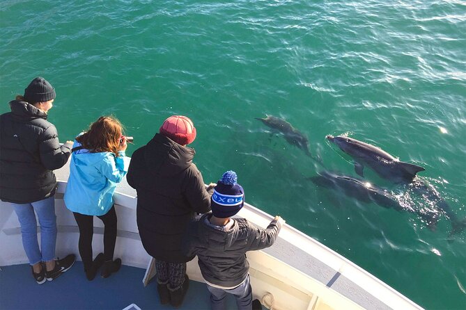 Kangaroo Island: 75-Minute Coastal Safari - What the 75 minutes feels like