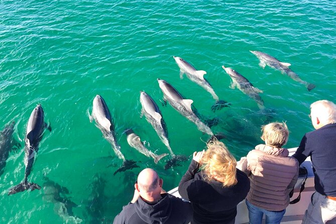 Kangaroo Island: 75-Minute Coastal Safari - The first stretch reveals Kangaroo Island’s coastal character
