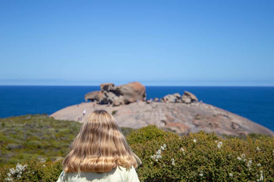 Kangaroo Island Full Day Experience by Ferry Including Lunch - A 16-hour day from Adelaide to an island of wildlife