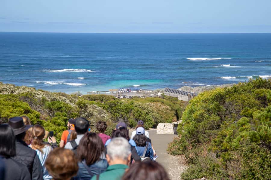 Kangaroo Island Full Day Experience by Ferry Including Lunch - Flinders Chase National Park and the island’s recovery