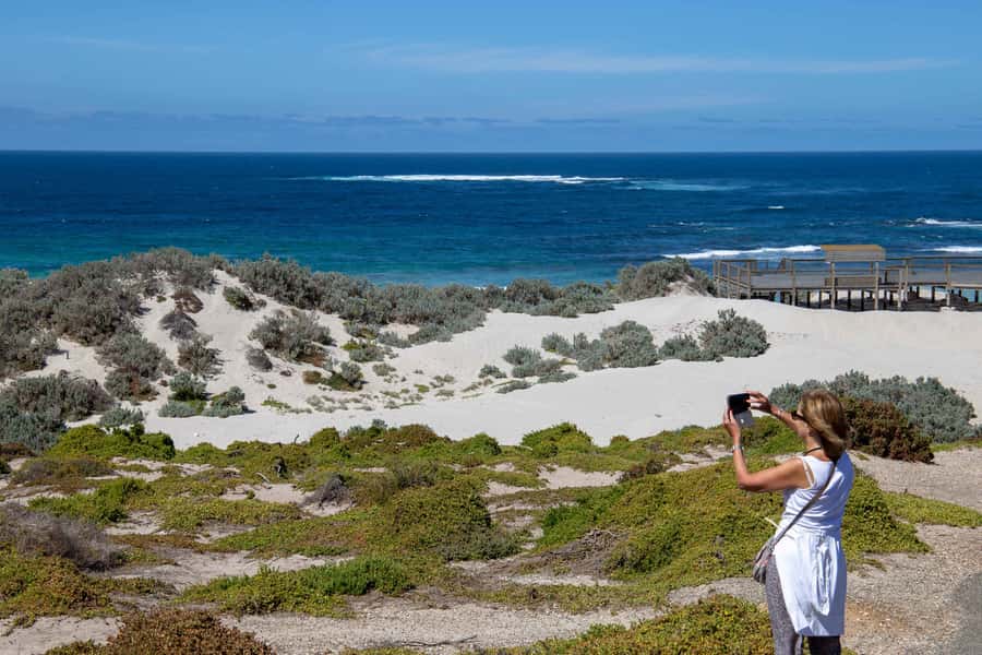 Kangaroo Island Full Day Experience by Ferry Including Lunch - Admirals Arch and long-nosed fur seals