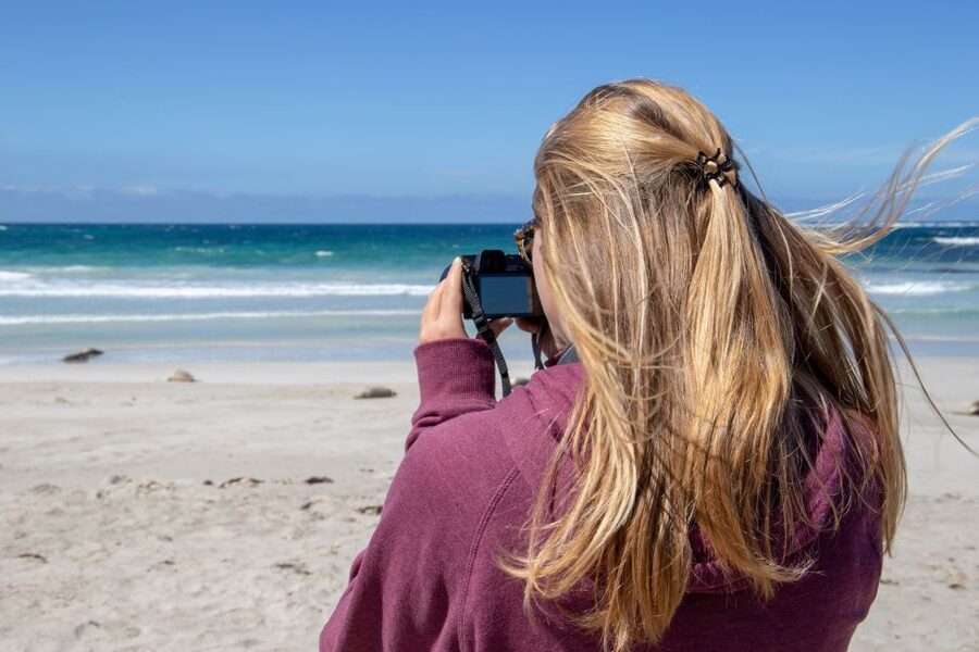 Kangaroo Island Full Day Experience by Ferry Including Lunch - The wildlife park stop and extra animal encounters