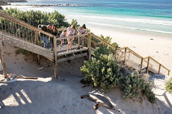 Kangaroo Island in a Day Tour from Adelaide - Why this Kangaroo Island day trip works