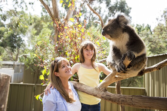 Kangaroo Island in a Day Tour from Adelaide - Flinders Chase delivers the big coastal views