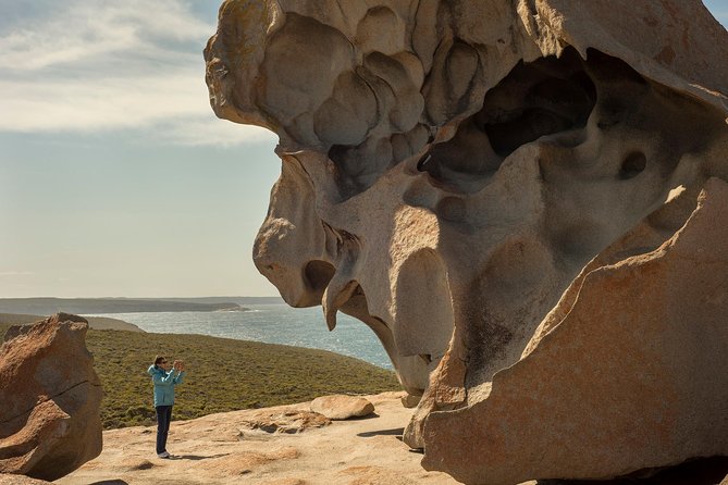 Kangaroo Island in a Day Tour from Adelaide - The early coach ride from Adelaide to Cape Jervis