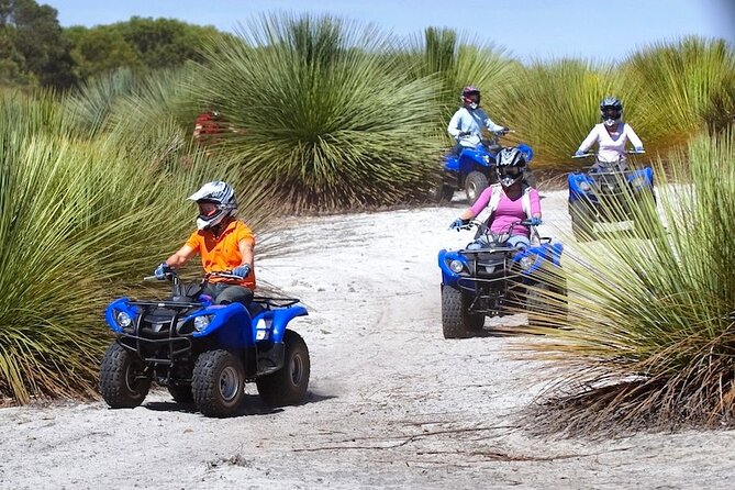 Kangaroo Island Quad Bike (ATV) Tours - Families, older riders, and first-timers