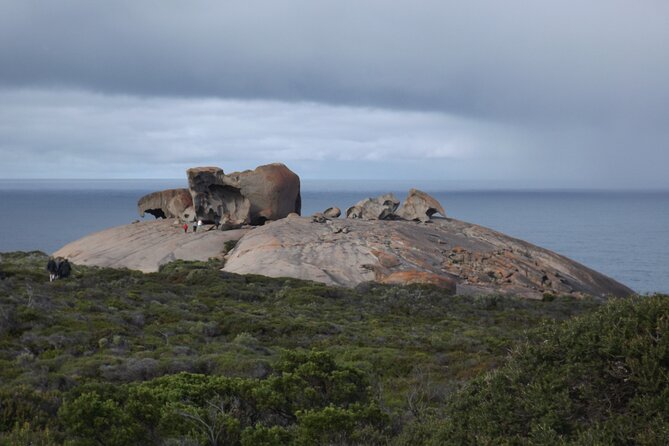 Kangaroo Island Scenic Nature and Wildlife Day Tour - Pickup, group size, and physical effort