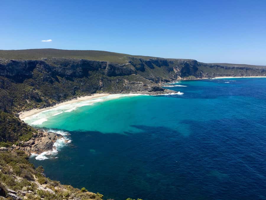 Kangaroo Island: Scenic, Nature & Wildlife Tour - A long day built around wild Kangaroo Island
