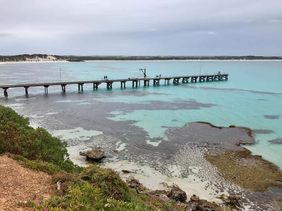 Kangaroo Island: Scenic, Nature & Wildlife Tour - Vivonne Bay adds a quieter coastal pause