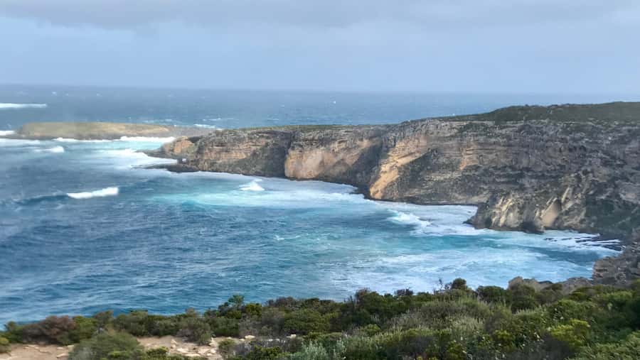 Kangaroo Island: Scenic, Nature & Wildlife Tour - The price makes sense if you want convenience