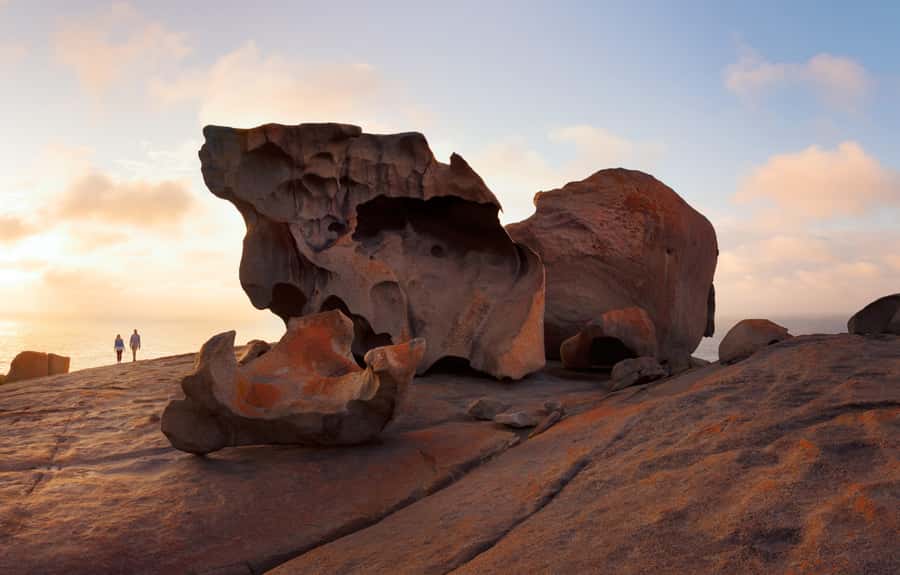 Kangaroo Island: Scenic, Nature & Wildlife Tour - Who will enjoy this day most