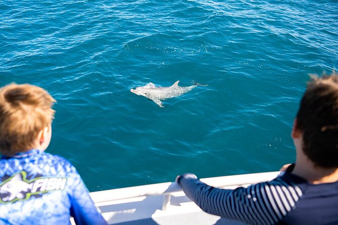 Kangaroo Island - Swim with Dolphins/Seals/Coastal Snorkel - Coastal snorkeling fills out the two hours