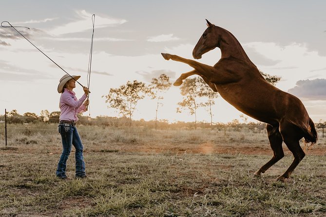 Katherine Outback Experience Show Ticket - Five things to know before you go