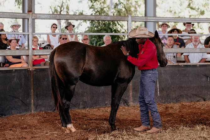 Katherine Outback Experience Show Ticket - Is the $60.25 ticket good value?
