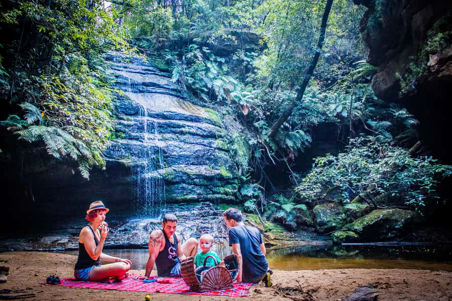 Katoomba: Blue Mountains Full-Day Hop-On Hop-Off Bus Tour - The essential points at a glance
