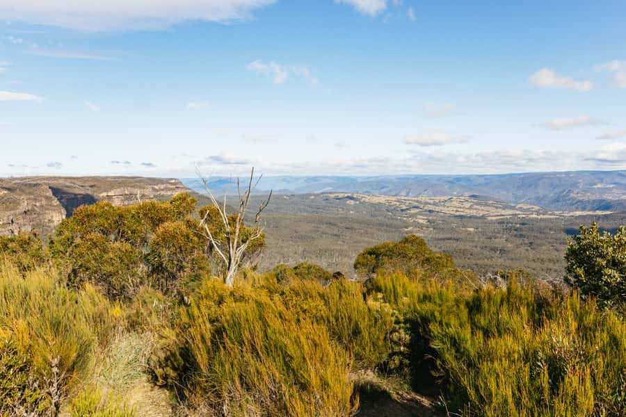 Katoomba: Lyrebird Hop-On Hop-Off and Scenic World Pass - Key points before you book