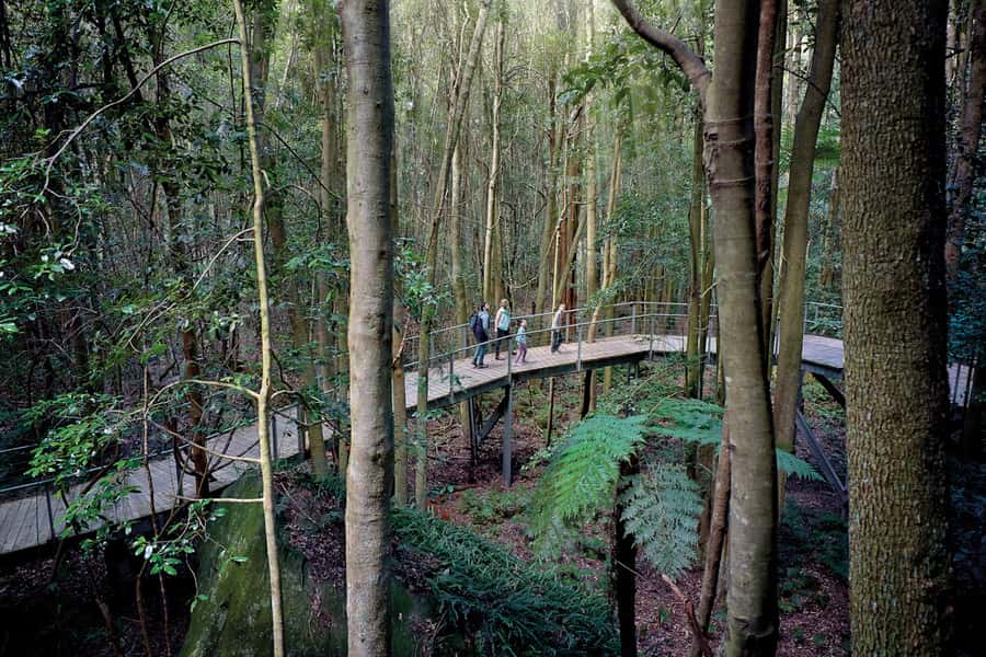 Katoomba: Scenic World 1-Day Unlimited Discovery Pass - Scenic Cableway: the broad valley lift