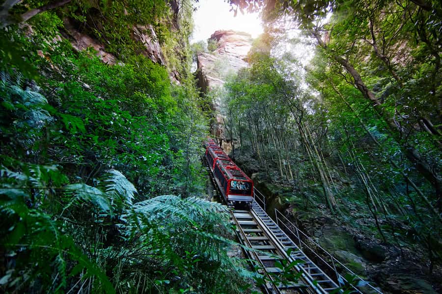 Katoomba: Scenic World 1-Day Unlimited Discovery Pass - Starting at the clifftop in Katoomba