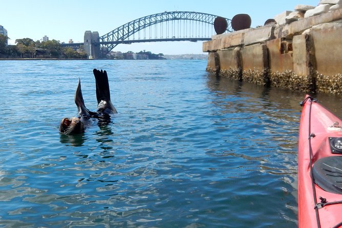 Kayak to Goat Island in Sydney Harbour with Local - What the $91.96 price includes