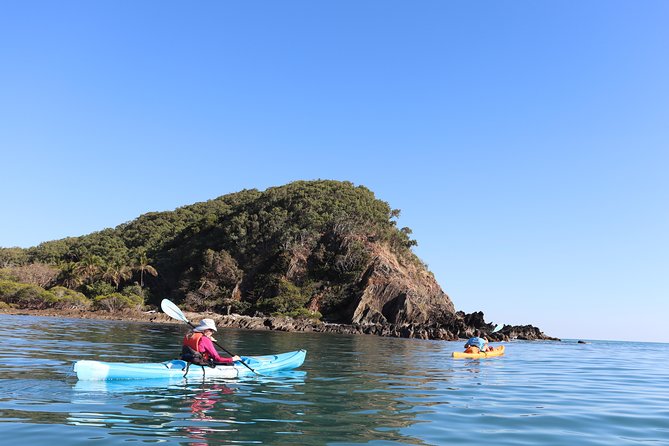 Kayak Turtle Tour from Palm Cove - Key points before you book