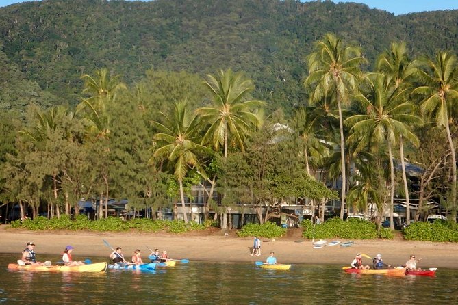 Kayak Turtle Tour from Palm Cove - Mangroves, rays, and the changing route