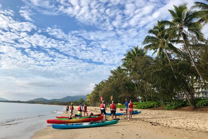 Kayak Turtle Tour from Palm Cove - What the $85.35 price really buys you