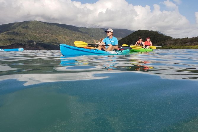 Kayak Turtle Tour from Palm Cove - The turtle stop is the tour’s big moment
