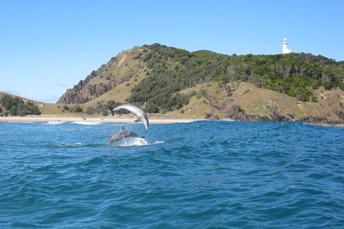 Kayaking with Dolphins in Byron Bay Guided Tour - Paddling Cape Byron Marine Park