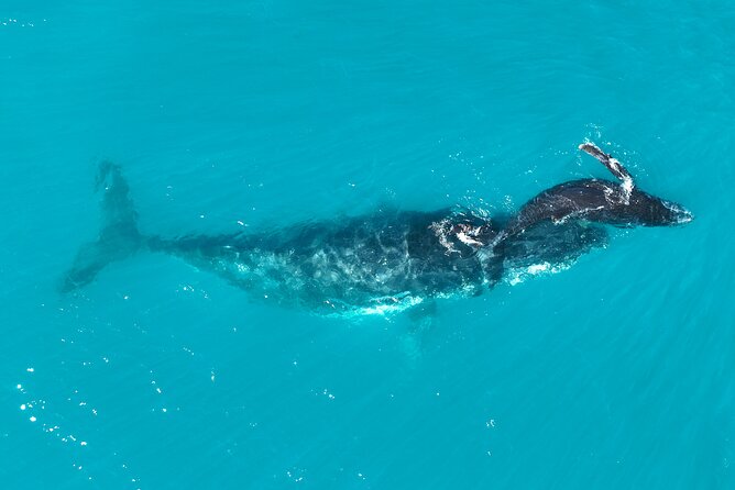 Kimberley Day Cruise Full Day Tour Departing Broome - Comfort, crew, and group size