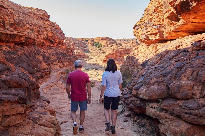 Kings Canyon Day Trip from Ayers Rock (Uluru) - Key points to know before you book