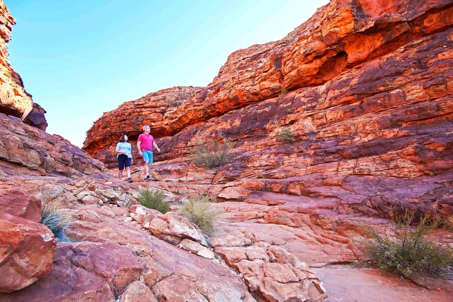 Kings Canyon: Full-Day Tour from Ayers Rock Resort - Key points to know before booking