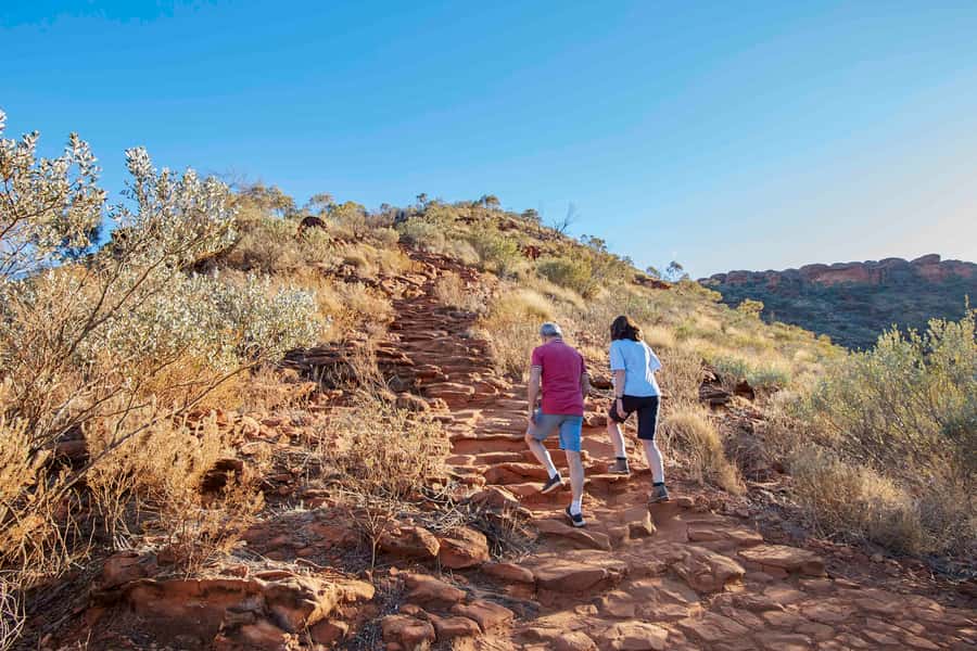 Kings Canyon: Full-Day Tour from Ayers Rock Resort - What the guides add to the experience