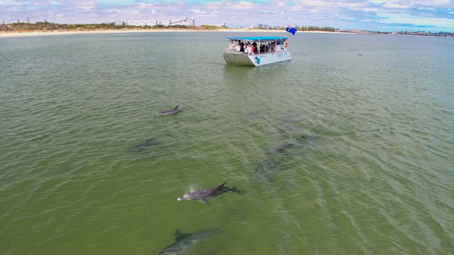 Koombana Bay: Dolphin Eco Cruise - Setting out from the Dolphin Discovery Centre