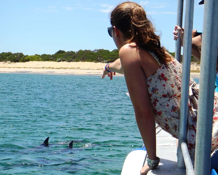 Koombana Bay: Dolphin Eco Cruise - Is $46 good value?