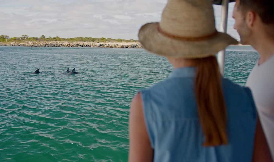 Koombana Bay: Dolphin Eco Cruise - Booking details that matter