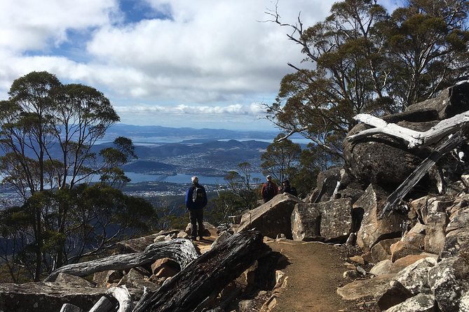 kunanyi/Mt Wellington Explorer Bus- Return Tour (2.5 hours) - The Springs: picnic tables and trail access