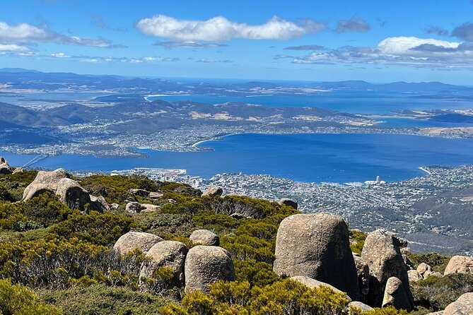 kunanyi/Mt Wellington Explorer Bus- Return Tour (2.5 hours) - The Chalet and the Organ Pipes Walk