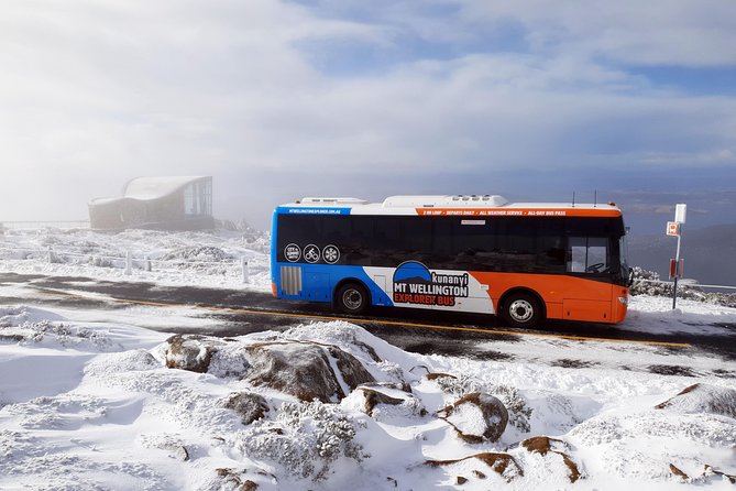 kunanyi/Mt Wellington Explorer Bus- Return Tour (2.5 hours) - Comfort, capacity, and practical limits