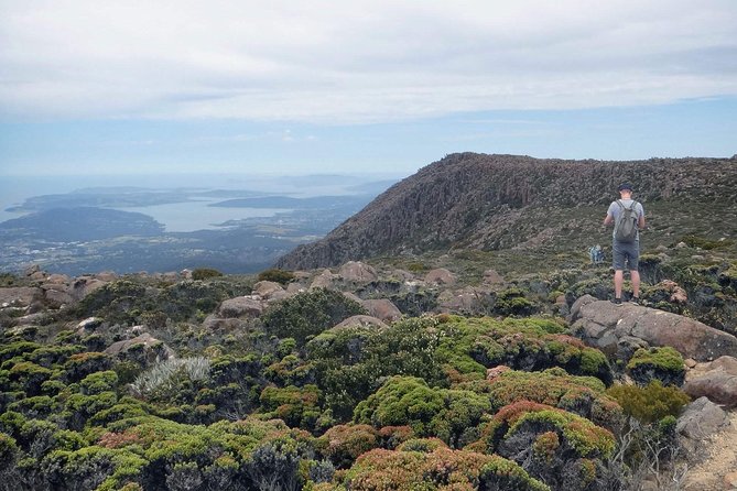 kunanyi/Mt Wellington Explorer Bus- Return Tour (2.5 hours) - Leaving Brooke Street Pier for the mountain
