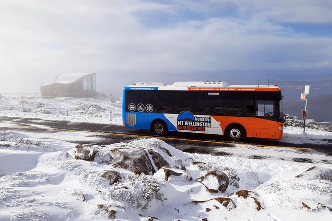 kunanyi/Mt Wellington Tour & Hobart Hop-On Hop-Off Bus - Thirty minutes at the 1,270-metre summit