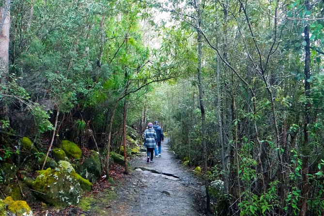 kunanyi/Mt Wellington Tour & Hobart Hop-On Hop-Off Bus - The drivers make the mountain ride better