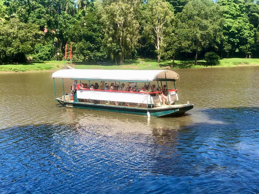 Kuranda: Riverboat Tour - Wildlife watching on the Barron River