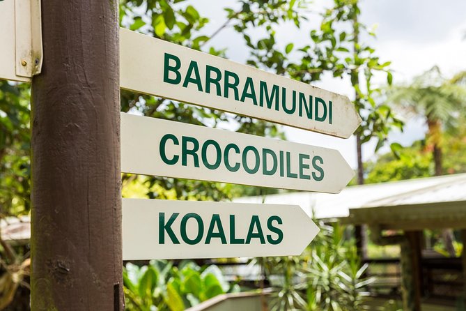 Kuranda Scenic Railway Day Trip from Cairns - Barron Falls and the changing scenery