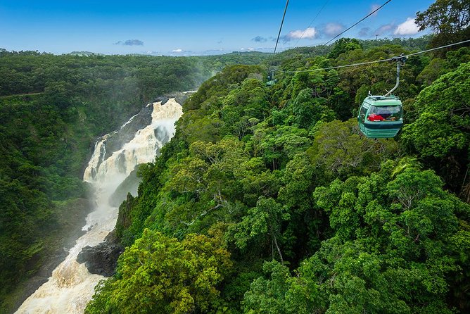 Kuranda Scenic Railway & Skyrail Tour from Port Douglas - The minivan ride and morning pickup