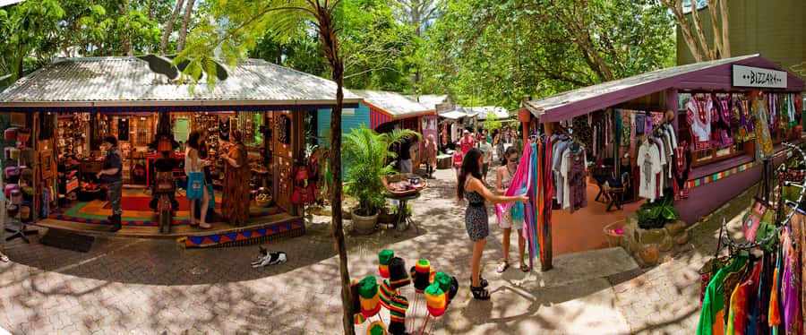 Kuranda, Skyrail & Gold Class Train from Cairns - Your time in Kuranda village